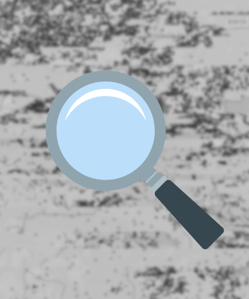 Illustration article