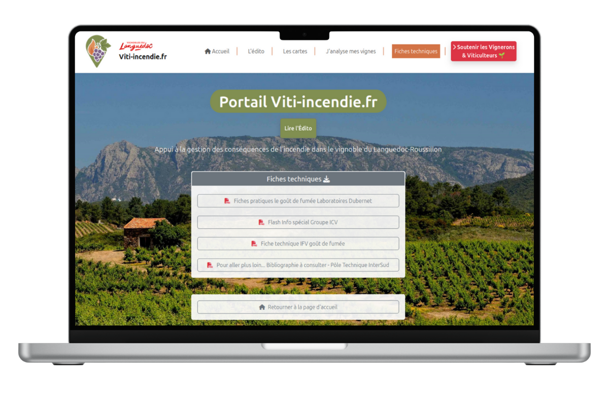 Illustration article