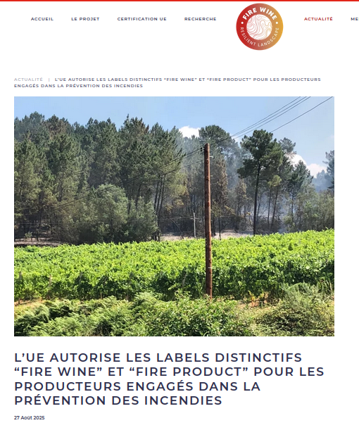 Illustration article